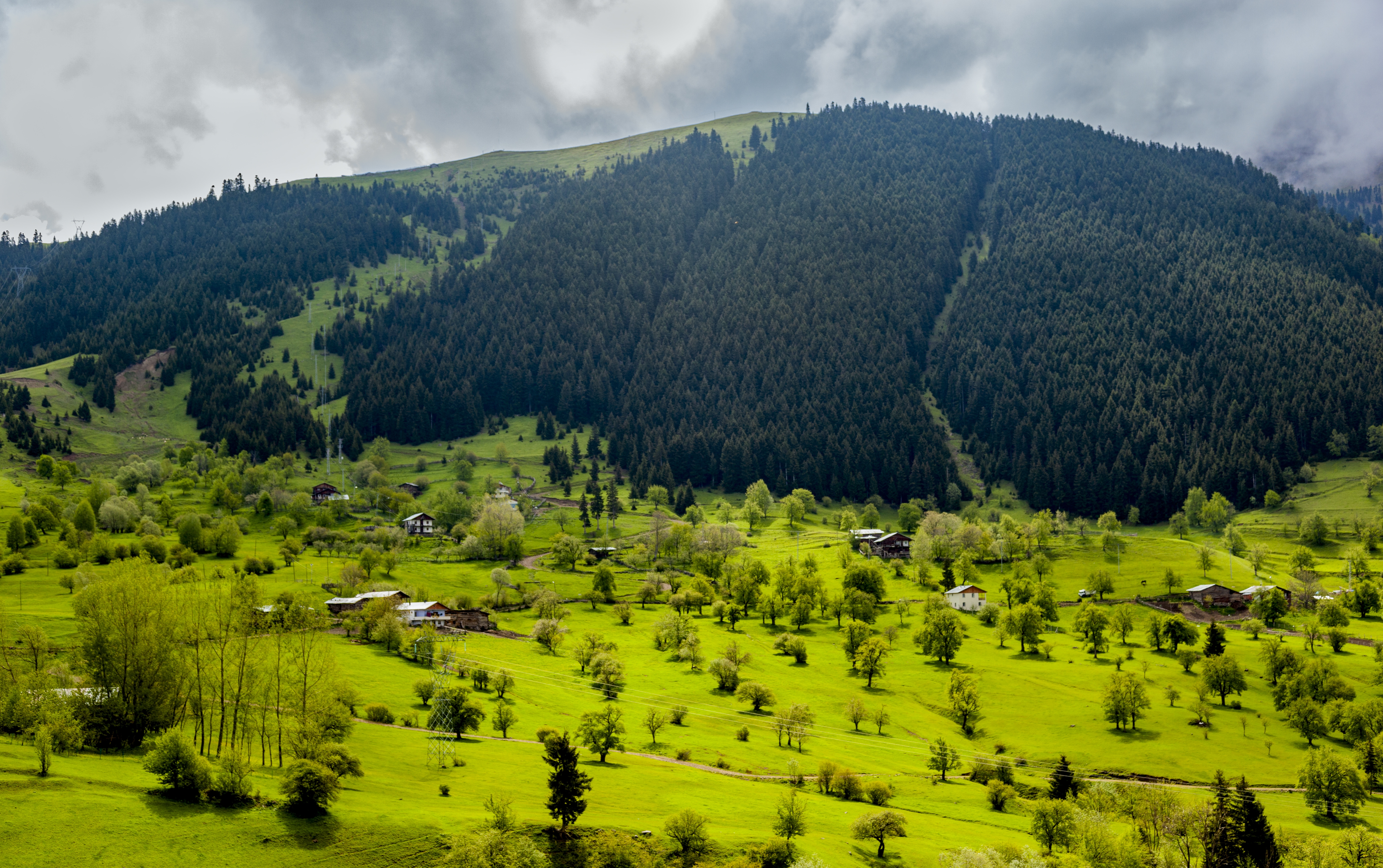 Uttarakhand